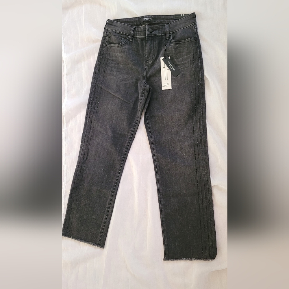 NWT! Liverpool LA Fall Anthro Rhinestone Striped Pant Women's Kennedy Jean 6/28